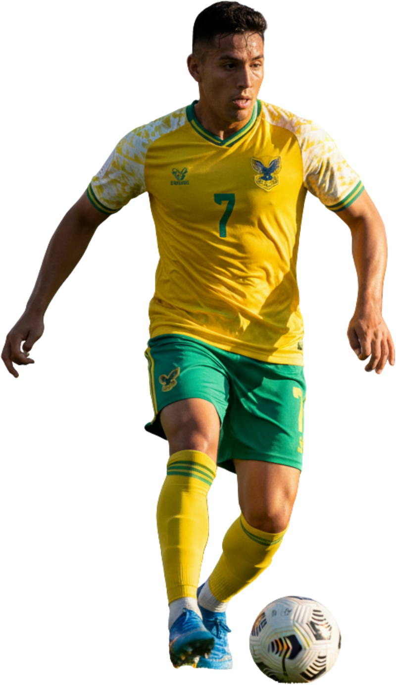 PLUS VIFS ET PLUS AGILES